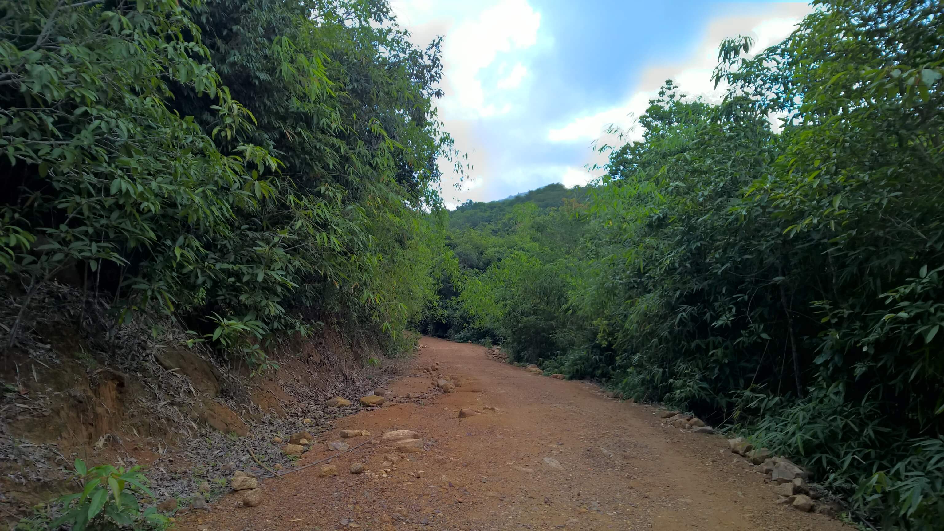 Leo núi Dinh vào cuối tuần 1