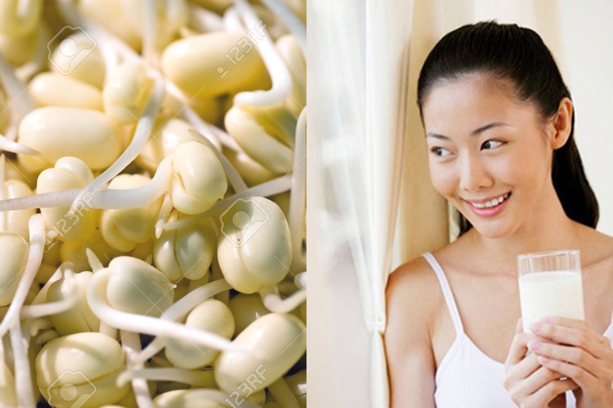 Mầm đậu nành: “thần dược” của sắc đẹp 4