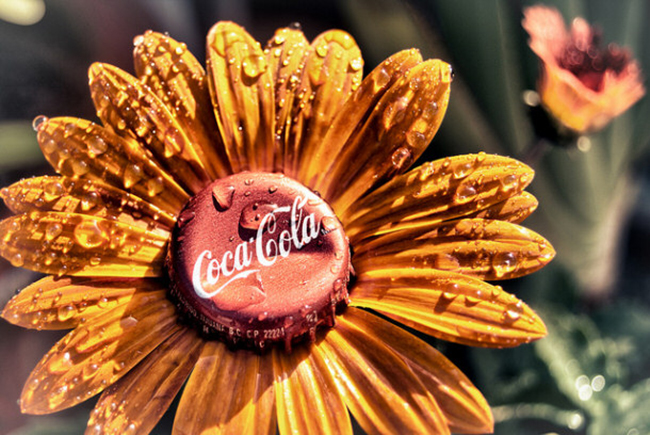 coca-cola làm phân bón cho hoa