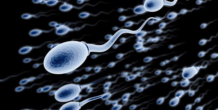 Kinh ngạc sức sống của tinh trùng