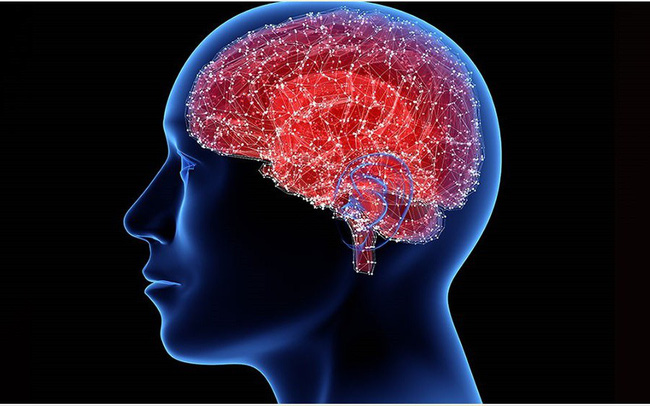 Hay mơ báo hiệu chứng Parkinson