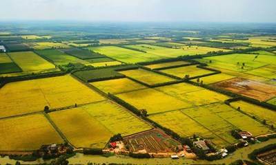 Đánh giá khả năng thích nghi đất