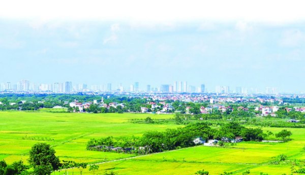 Phải xin chuyển đổi mục đích sử dụng đất khi có nhu cầu