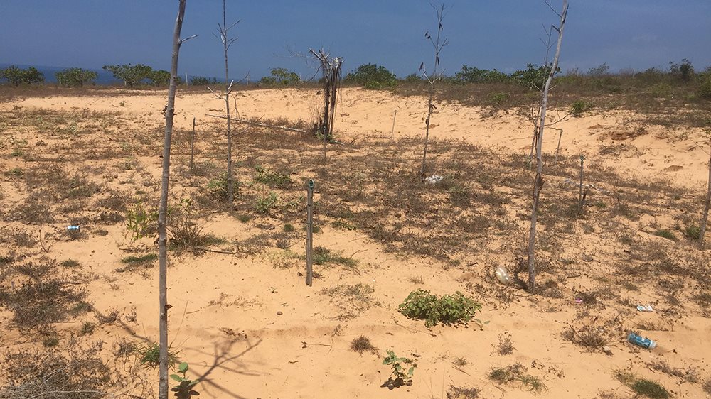 Tài nguyên đất đa dạng và vô cùng phong phú