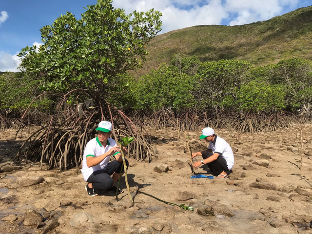 Tài nguyên rừng có diện tích trung bình