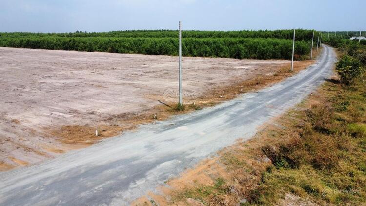 đất nền Lộc An Bà Rịa Vũng Tàu 1