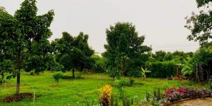 Những điều cần lưu ý khi mua bán đất vườn Vũng Tàu