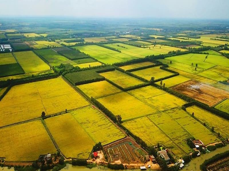 Lưu ý đến yếu tố đột biến trong đất đai