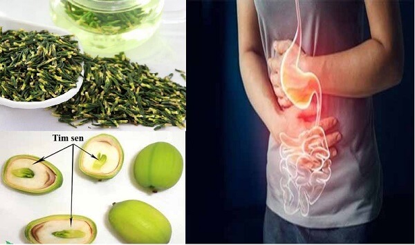 Những người không được sử dụng tim sen