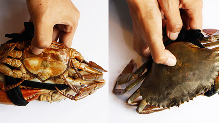 Bóp để chọn được một con cua ngon