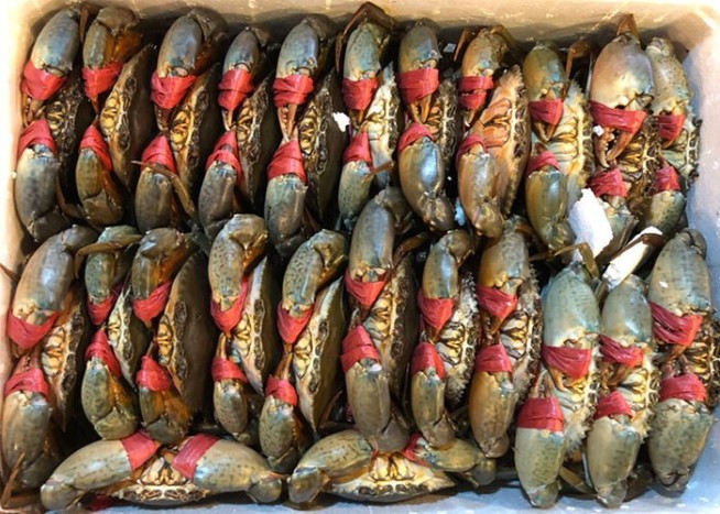 Hướng dẫn cách bảo quản cua tươi ngon