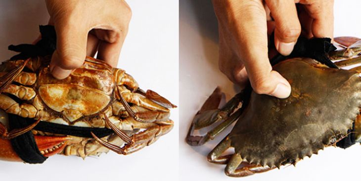 Bật mí cách chọn cua ngon không phải ai cũng biết