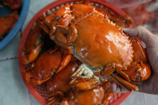 Luộc cua chín kỹ 