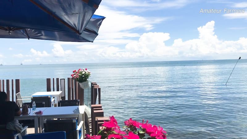 View biển cực rộng và đẹp