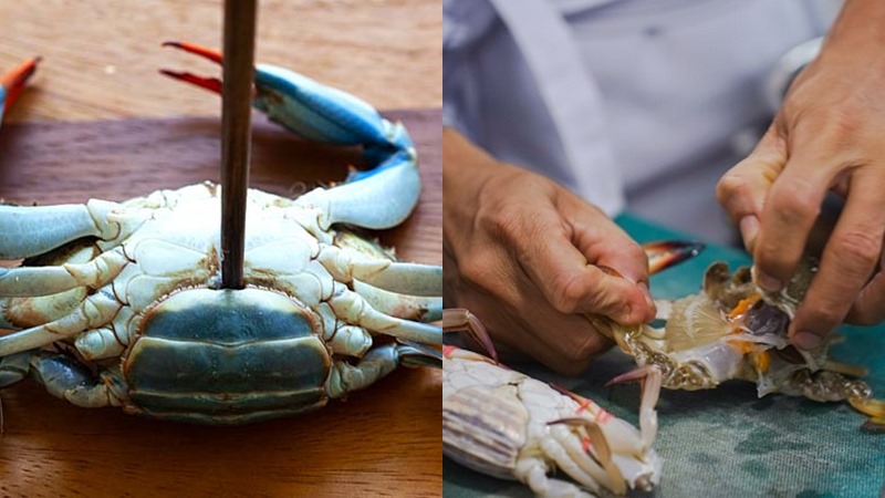 Cách bảo quản cua tươi sống trong tủ lạnh