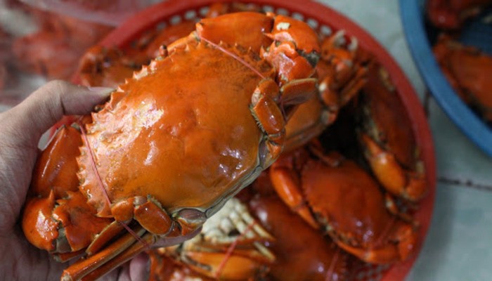 Cách bảo quản cua chín trong tủ lạnh