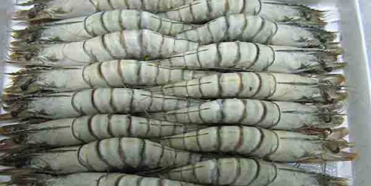 Chia sẻ cách bảo quản hải sản tươi sống để được lâu nhất