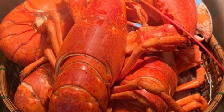 Hướng dẫn cách bảo quản tôm đã luộc hiệu quả nhất