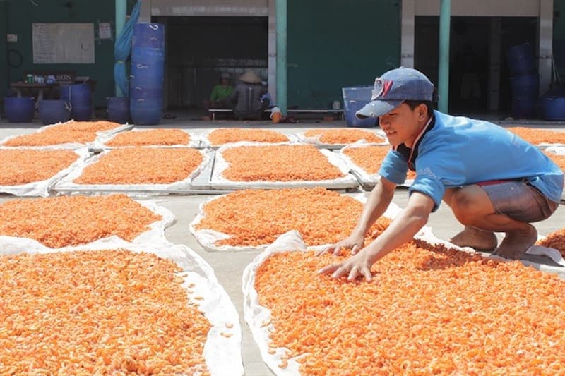 Phơi tôm với nắng mạnh để tôm khô nhanh