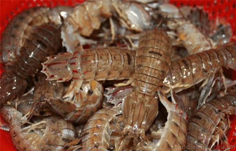 Cách chọn con tôm tích tươi ngon