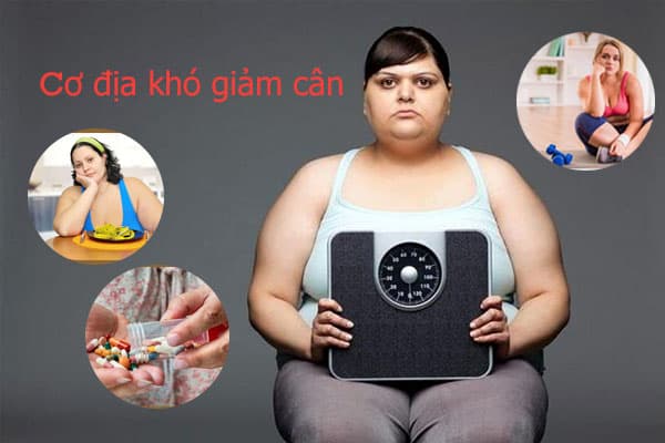 Đặc điểm của người có cơ địa khó giảm cân