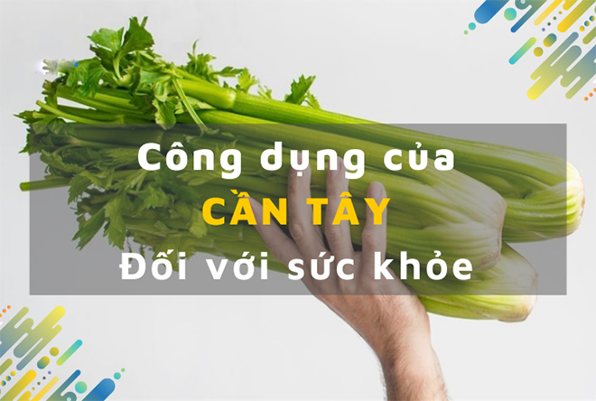 Công dụng giảm cân của cần tây
