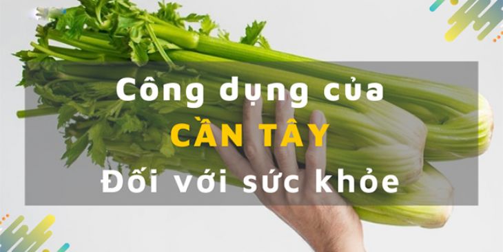 Hướng dẫn cách làm cần tây giảm cân đơn giản, an toàn, hiệu quả