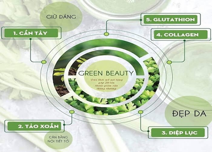 Thành phần có trong bột cần tây Green Beauty