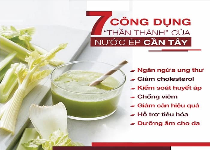 Công dụng của bột cần tây Green Beauty
