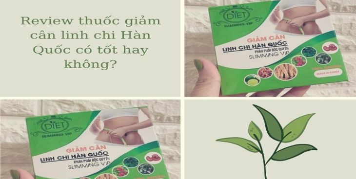 Sản phẩm giảm cân linh chi Hàn Quốc Slimming VIP có tốt không?