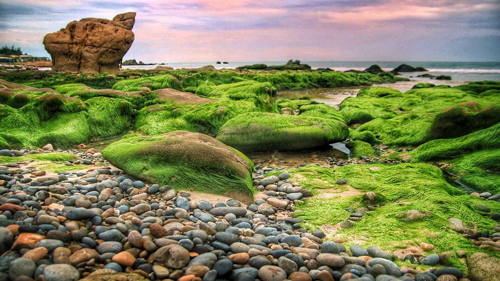 Một góc tại bãi đá Cổ Thạch