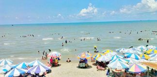 Cẩm nang du lịch bãi biển Long Hải chi tiết từ a đến z