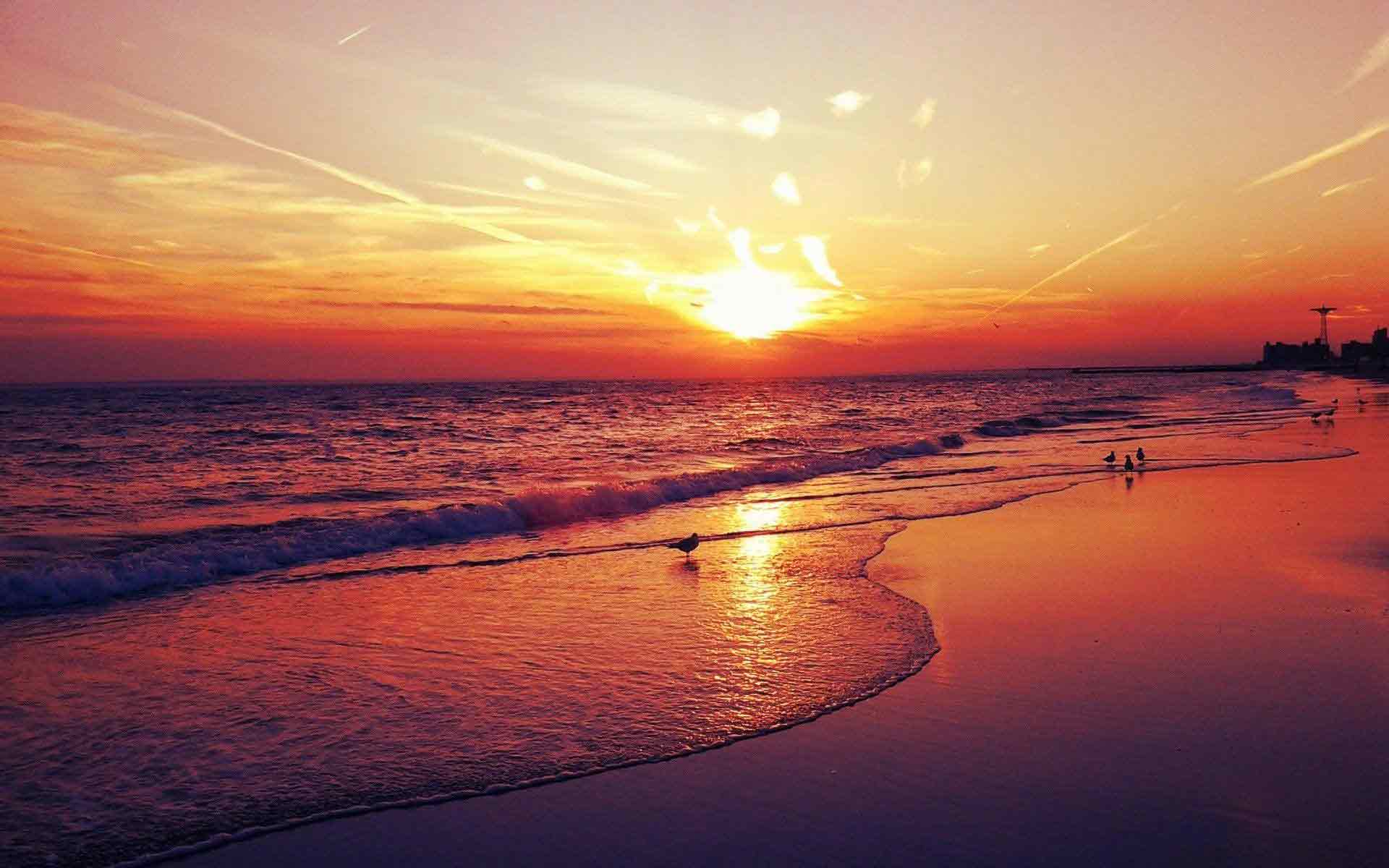 Trải nghiệm thú vị tại bãi biển Dinh Cô